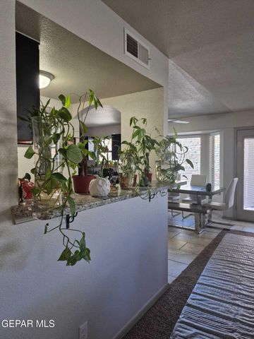 359 Emerald Forrest Place, Horizon City, TX 79928