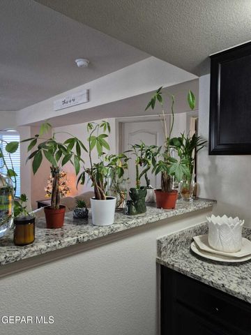 359 Emerald Forrest Place, Horizon City, TX 79928