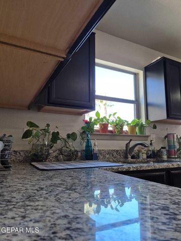 359 Emerald Forrest Place, Horizon City, TX 79928