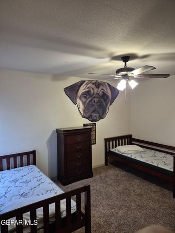 359 Emerald Forrest Place, Horizon City, TX 79928