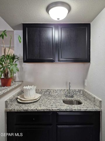 359 Emerald Forrest Place, Horizon City, TX 79928