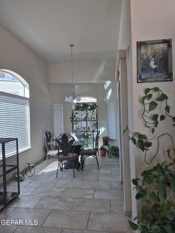 359 Emerald Forrest Place, Horizon City, TX 79928