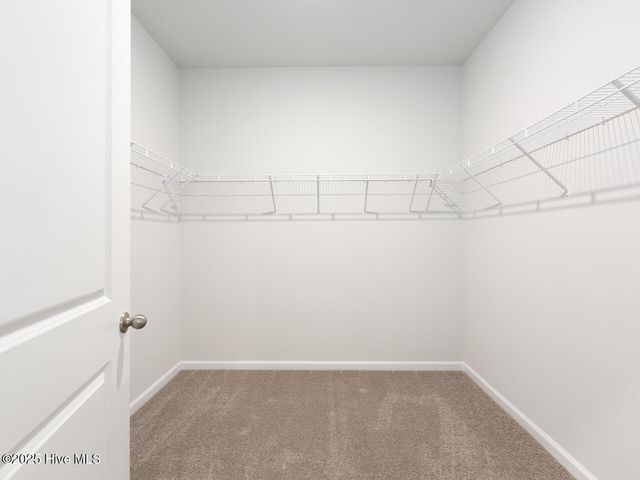 801 Ring Bill Court Lot 347, Sneads Ferry, NC 28460