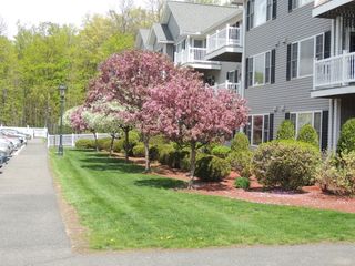 24 Greenleaves Drive 436, Amherst, MA 01002