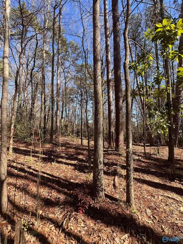 127 Lynn Drive, Gadsden, AL 35901