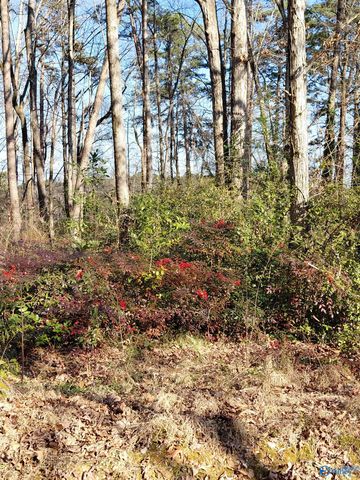 127 Lynn Drive, Gadsden, AL 35901