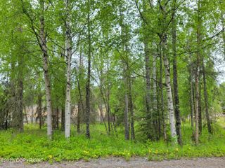 47847 Baranoff Drive, Nikiski/north Kenai, AK 99635
