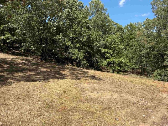 231 Ballard Rd, Vilonia, AR 72173