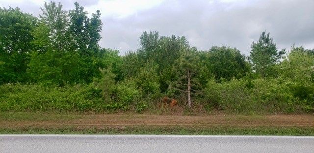 N N Lincoln Street, Siloam Springs, AR 72761