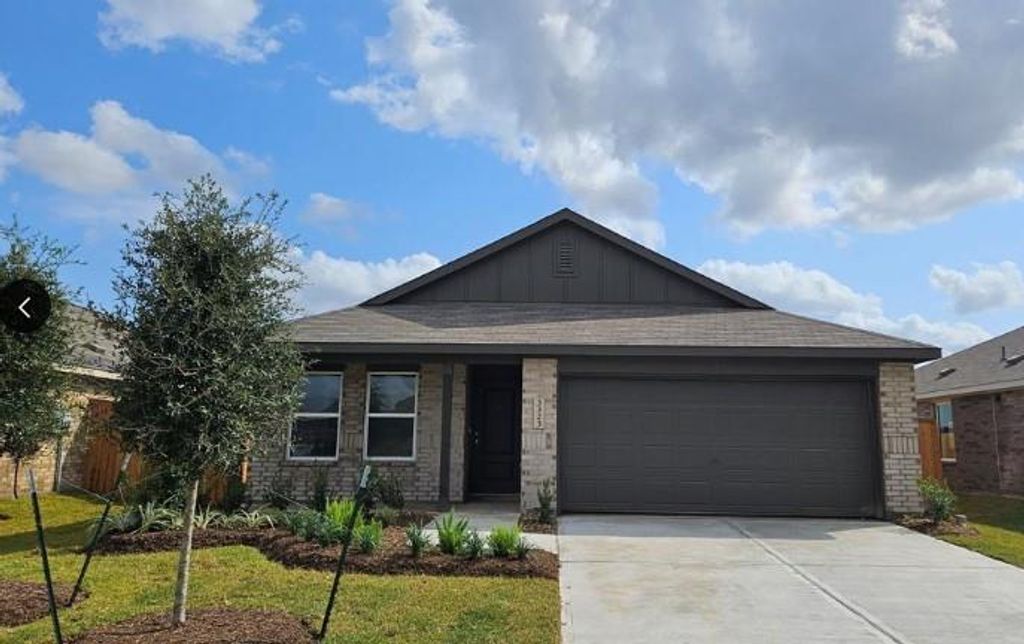 3323 Silvery Bryum Drive, Rosenberg, TX 77471