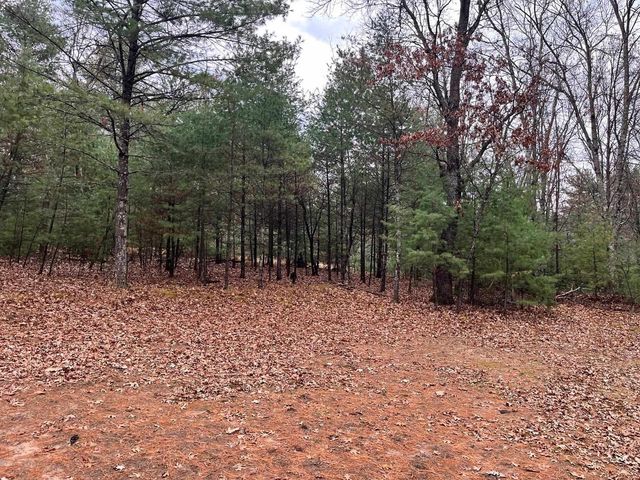 1787 Badger Court, Arkdale, WI 54613