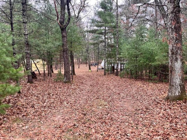 1787 Badger Court, Arkdale, WI 54613