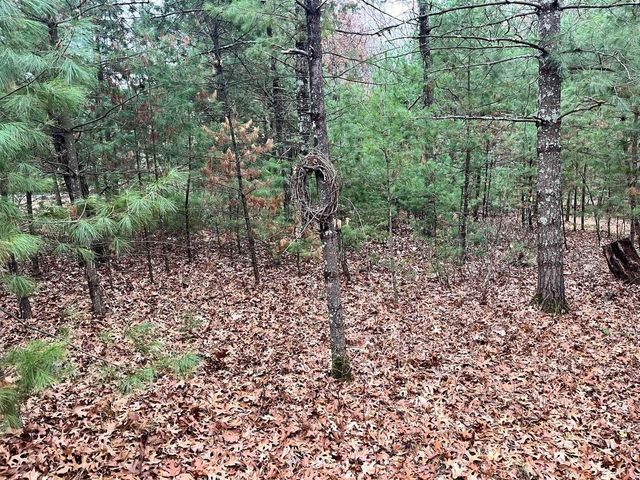 1787 Badger Court, Arkdale, WI 54613