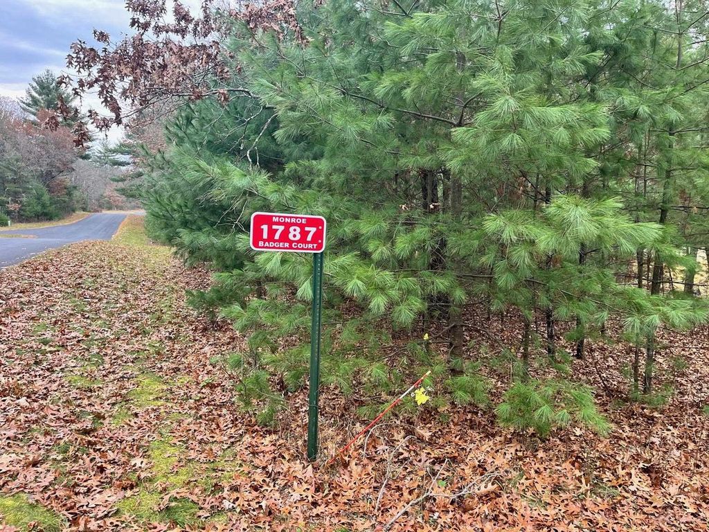 1787 Badger Court, Arkdale, WI 54613