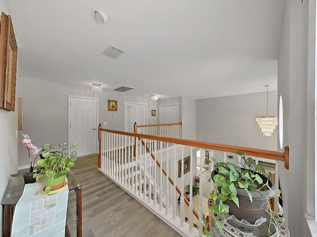 10212 GARDEN ALCOVE DRIVE, Tampa, FL 33647