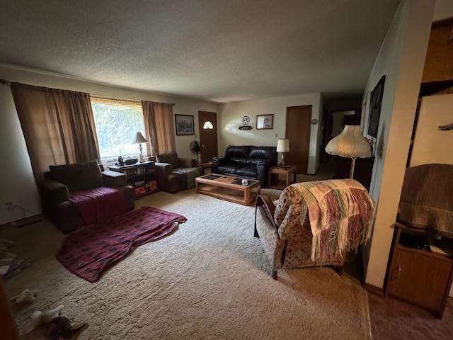 203 E Green Valley Drive, Horseshoe Bend, AR 72512