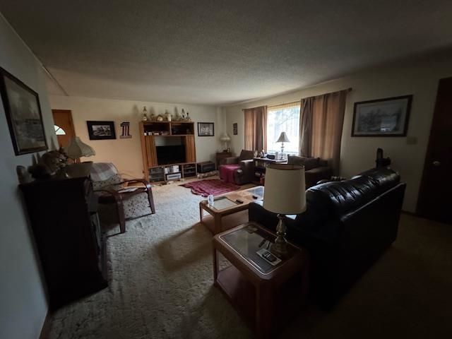 203 E Green Valley Drive, Horseshoe Bend, AR 72512