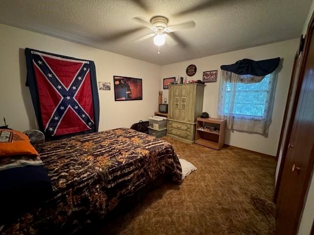 203 E Green Valley Drive, Horseshoe Bend, AR 72512