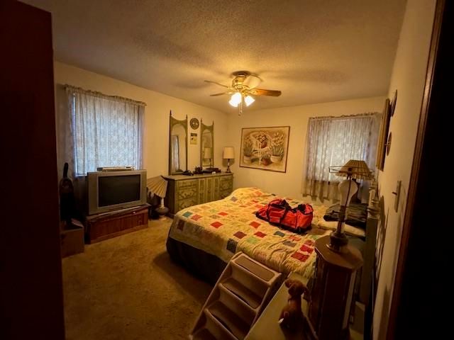 203 E Green Valley Drive, Horseshoe Bend, AR 72512