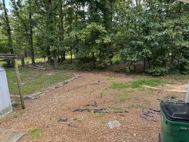 203 E Green Valley Drive, Horseshoe Bend, AR 72512