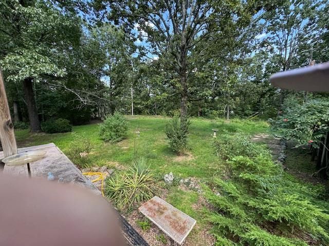 203 E Green Valley Drive, Horseshoe Bend, AR 72512