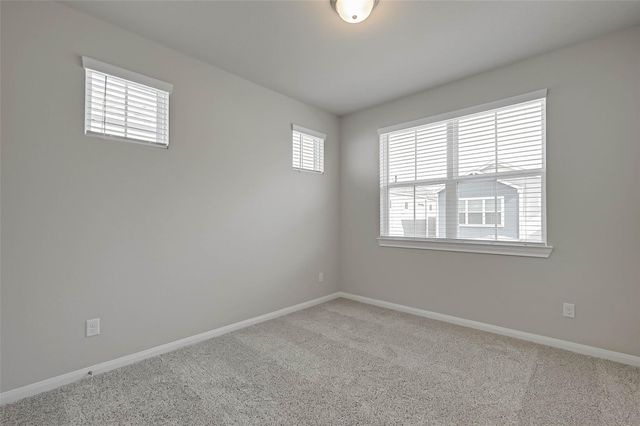 3121 Cloud Forest Lane, Houston, TX 77080