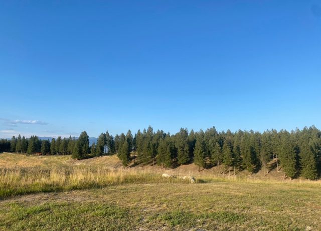 NHN Border Lane, Rexford, MT 59930 property photo
