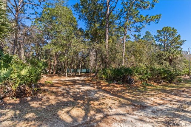 8181 W Tracy Court, Homosassa, FL 34448