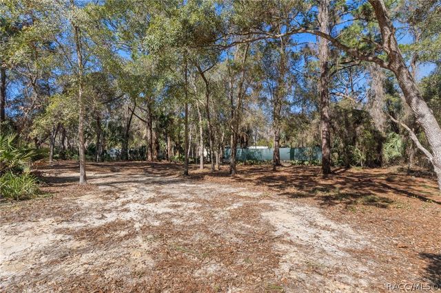 8181 W Tracy Court, Homosassa, FL 34448