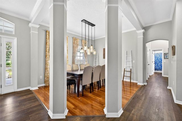 15036 EAGLERISE DRIVE, Lithia, FL 33547