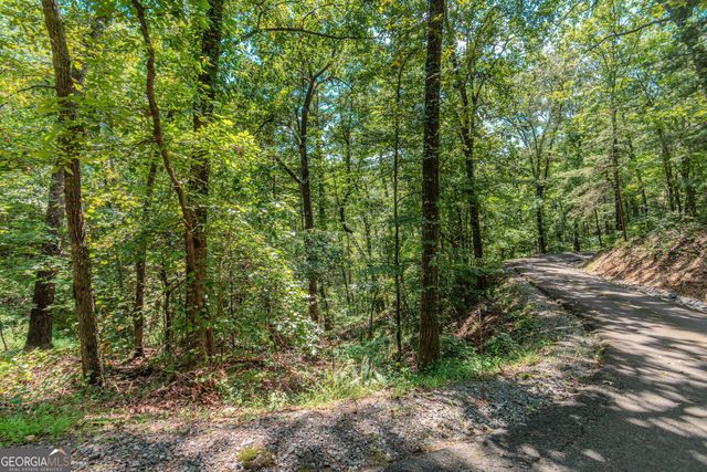 LOT 103R Mountain Creek Hollow Drive, Talking Rock, GA 30175