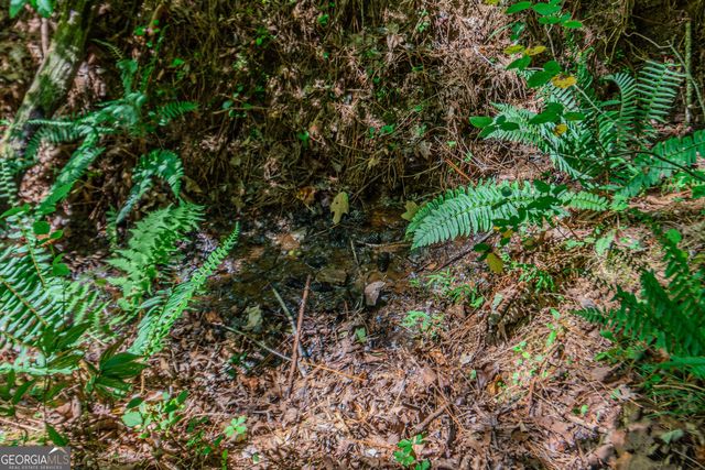 LOT 103R Mountain Creek Hollow Drive, Talking Rock, GA 30175