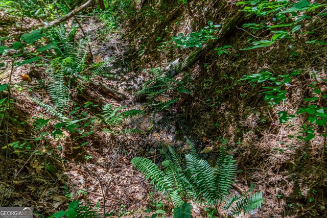 LOT 103R Mountain Creek Hollow Drive, Talking Rock, GA 30175