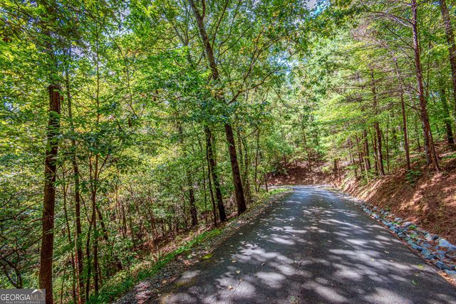LOT 103R Mountain Creek Hollow Drive, Talking Rock, GA 30175