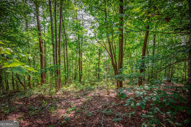 LOT 103R Mountain Creek Hollow Drive, Talking Rock, GA 30175