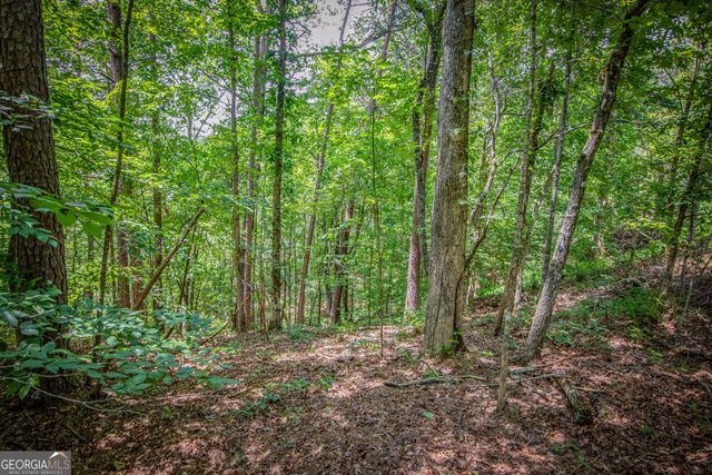 LOT 103R Mountain Creek Hollow Drive, Talking Rock, GA 30175