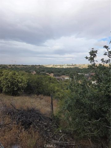 11020 Lantry, Oak Hills, CA 92344