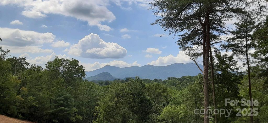000 Levi Road, Columbus, NC 28722