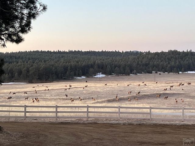 24030 County Rd 43.6, Aguilar, CO 81020