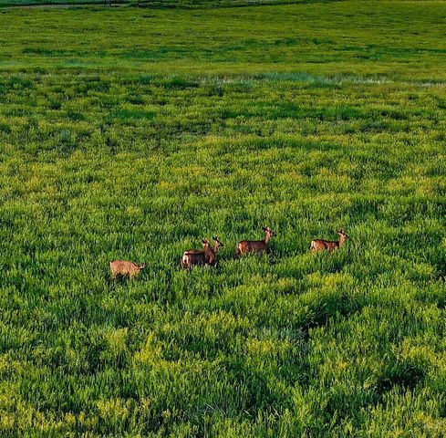 24030 County Rd 43.6, Aguilar, CO 81020