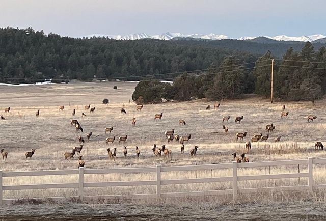 24030 County Rd 43.6, Aguilar, CO 81020