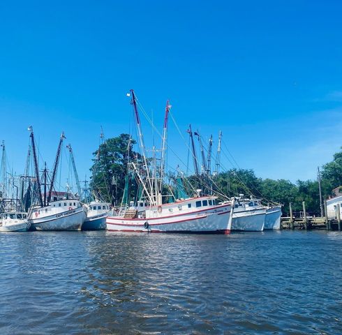 75 Duck Pond Pl., Georgetown, SC 29440