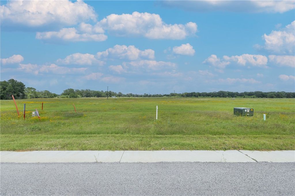 TBD Lot 67 Lake Day Drive, Somerville, TX 77879 — photo 3