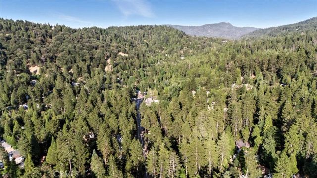 373 Redwood Lane, Crestline, CA 92325