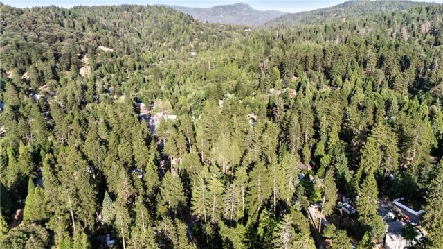 373 Redwood Lane, Crestline, CA 92325