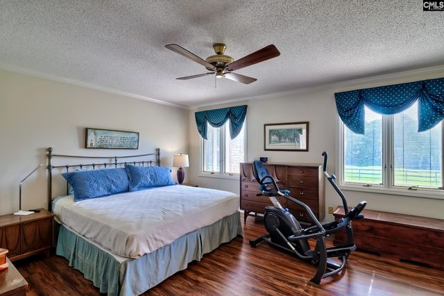 307 Old Bush River Road, Chapin, SC 29036