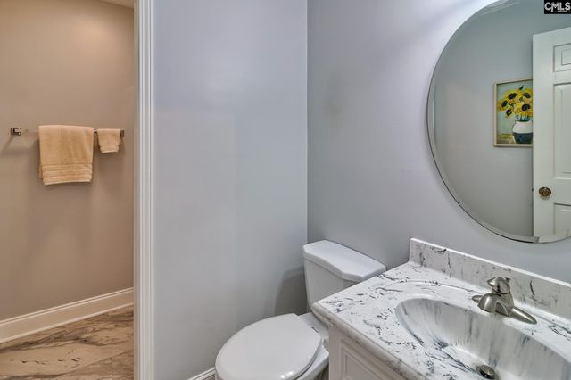 307 Old Bush River Road, Chapin, SC 29036
