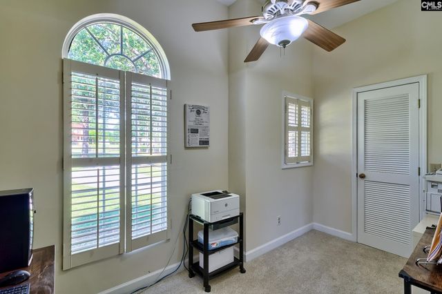 307 Old Bush River Road, Chapin, SC 29036