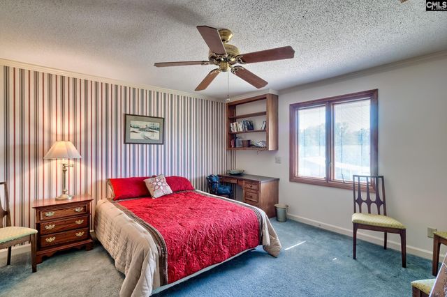 307 Old Bush River Road, Chapin, SC 29036