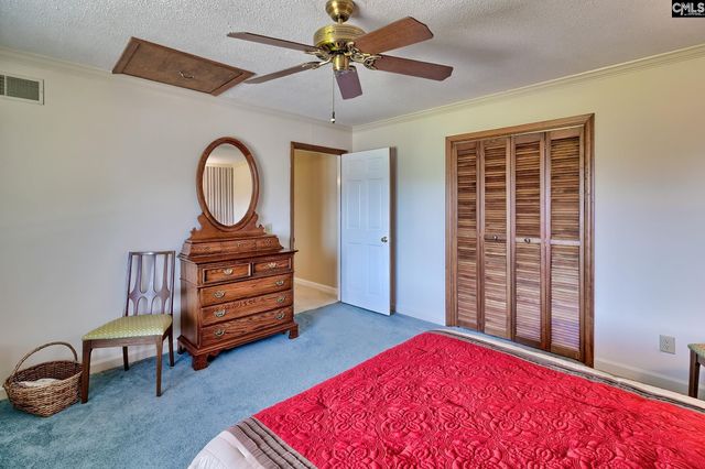 307 Old Bush River Road, Chapin, SC 29036